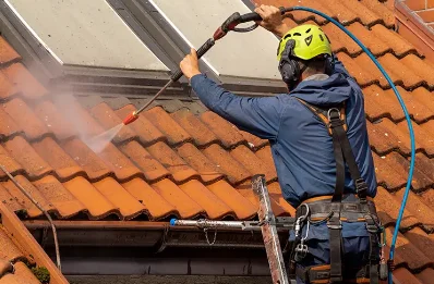 Démoussage et hydrofuge de toiture à Mesnay